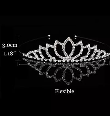 Beautiful Princes Crown
